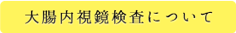 大腸内視鏡検査について